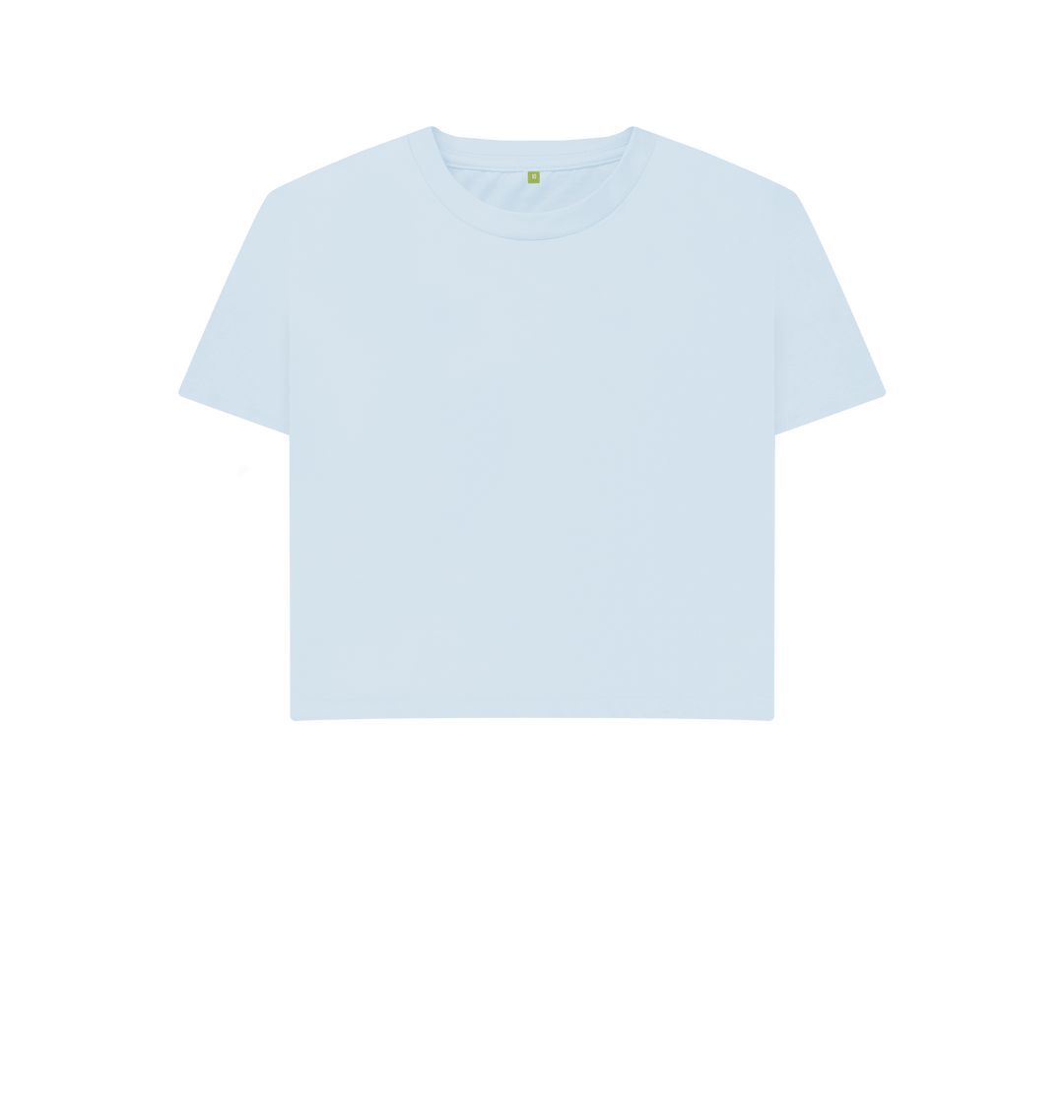 Sky Blue \\ud83c\\uddec\\ud83c\\udde7 Empty Canvas - Women's Organic Boxy Tee