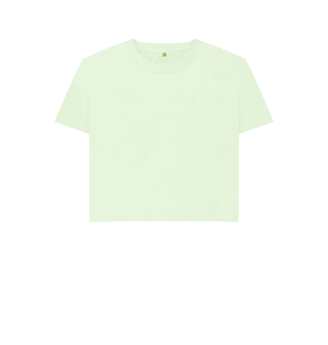 Pastel Green \ud83c\uddec\ud83c\udde7 Empty Canvas - Women's Organic Boxy Tee